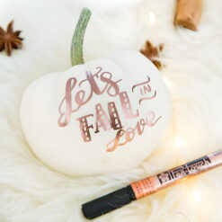 Markere cu vopsea Pen-Touch Calligrapher
