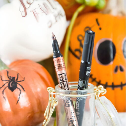 Markere cu vopsea Pen-Touch Calligrapher