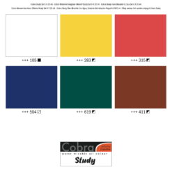 Set culori ulei Cobra Study 6 x 20 ml.