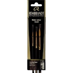 Set pensule Rembrandt 110 (2-4-8)