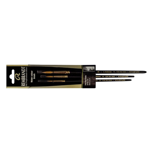 Set pensule Rembrandt 110 (2-4-8)