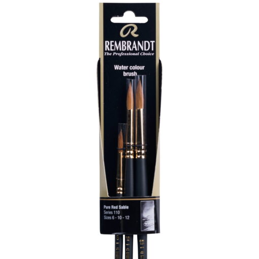 Set pensule Rembrandt 110 (6-10-12)