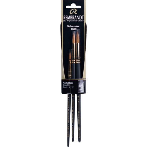 Set pensule Rembrandt 110 (6-10-12)