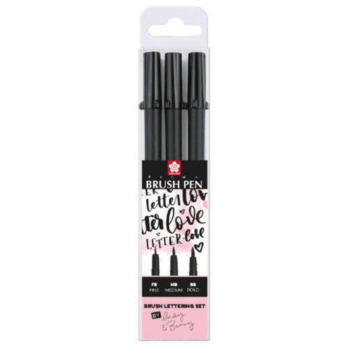 Set Carioci Sakura Pigma Brush 3