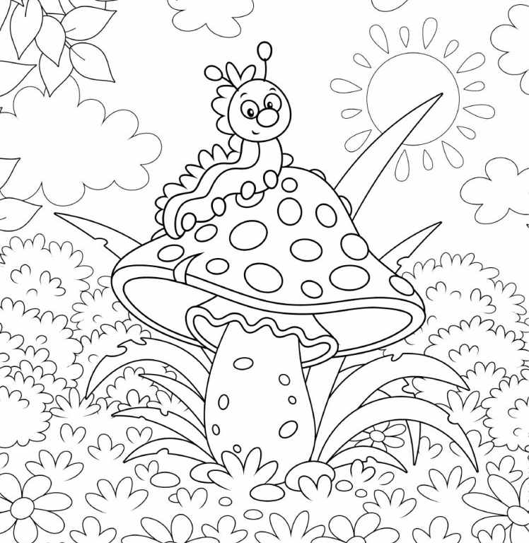 Carti De Colorat Pentru Copii Colorez Natura Colorit