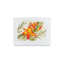 Creioane colorate Derwent Inktense - mostra