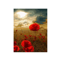 Pictura pe numere - poppy flower