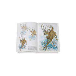 Manual de pictura Animale vol. 13