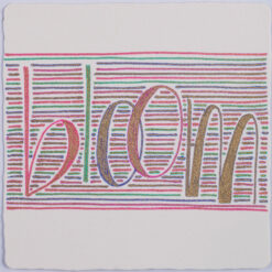 Pixuri colorate Gelly Roll Shadow