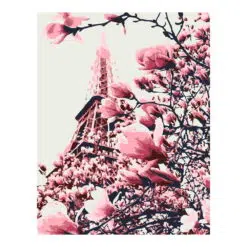 Kit Pictura Pe Numere 35/45 cm - Magnolias in Paris