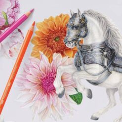 Set 140 creioane colorate Polychromos - imagine 4
